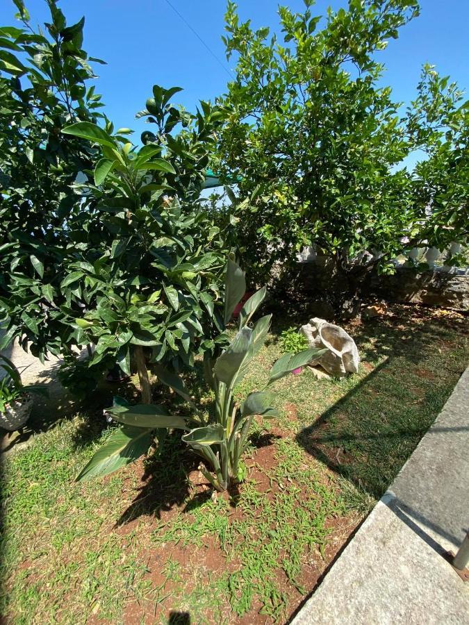 Vila Mare Mateo Ksamil Exterior foto